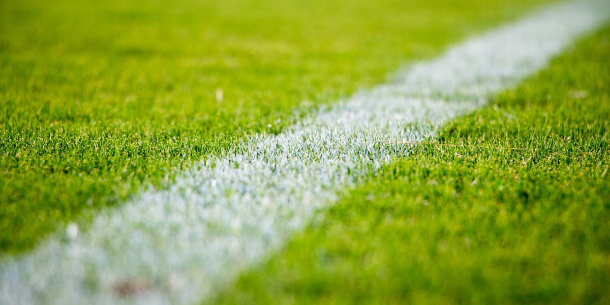 Modern sports stadium with AI-powered fan navigation